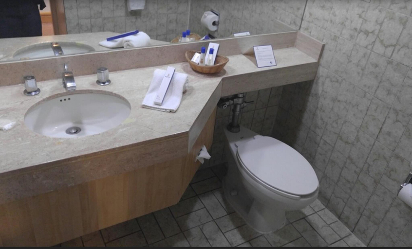 Bathroom 3, Hotel Royal Reforma, Mexico City