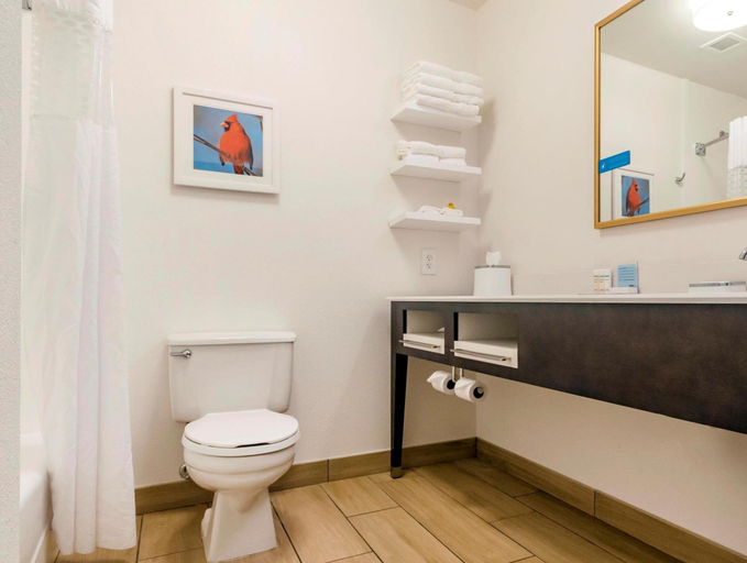 Bathroom 4, Hampton Inn Richmond, Madison