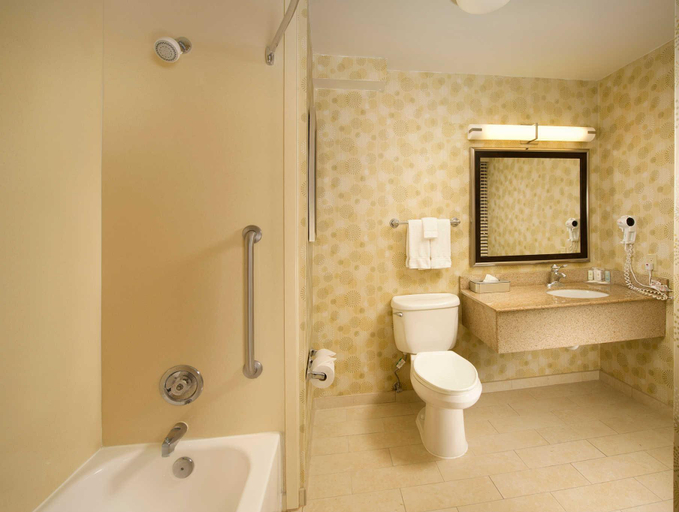 Bathroom 4, Comfort Inn Downtown Dc/Convention Center, Washington D.C.