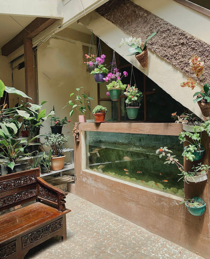 Others 3, Dieng Pass Homestay Syariah, Wonosobo