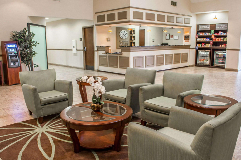 Public Area 2, Comfort Suites Chesapeake - Norfolk, Chesapeake
