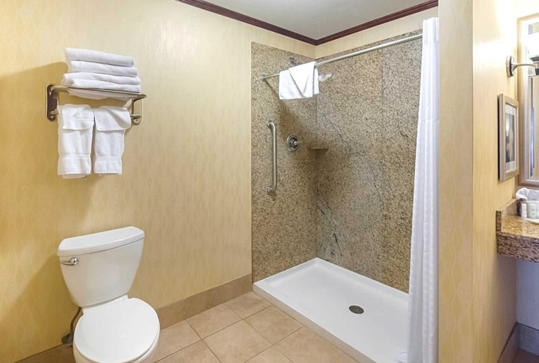 Bathroom 4, Comfort Suites Manhattan, Riley