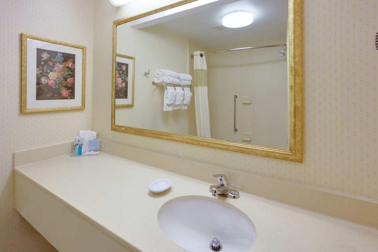 Bathroom 3, Hampton Inn Bordentown, Burlington