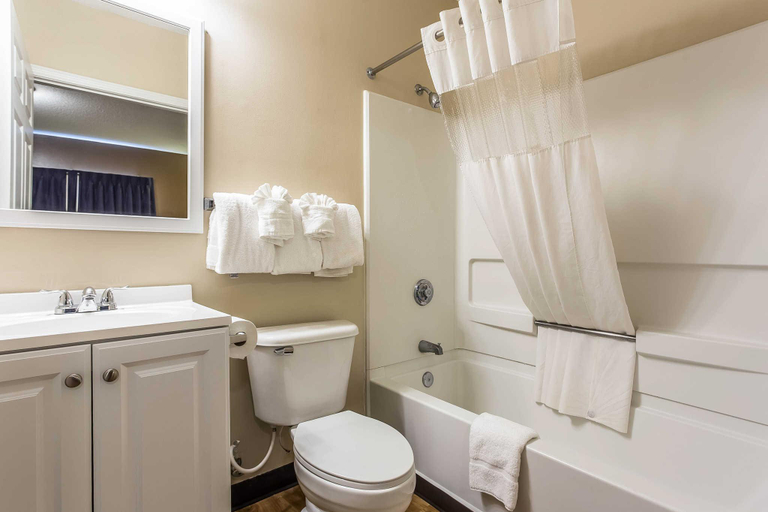 Bathroom 4, Suburban Studios Near UNC Charlotte, Mecklenburg