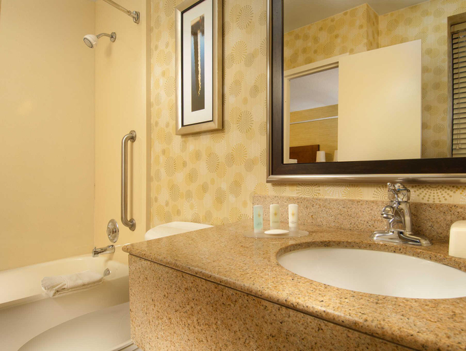 Bathroom 4, Comfort Inn Downtown Dc/Convention Center, Washington D.C.