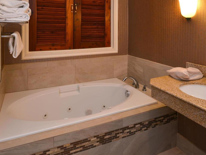 Bathroom 4, Hilton Garden Inn Napa, Napa