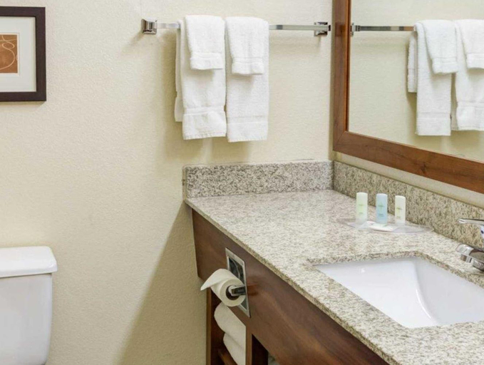 Bathroom 4, Comfort Suites Kansas City-Liberty, Kansas City