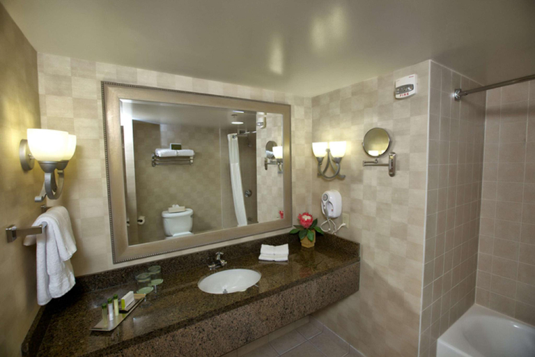 Bathroom 5, DoubleTree by Hilton Hotel Bay City-Riverfront, Bay