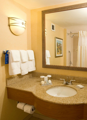 Bathroom 5, Hilton Garden Inn Atlanta Airport/Millenium Center, Fulton