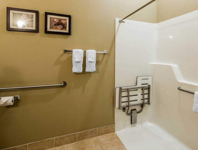 Bathroom, Sleep Inn Bessemer Helena, Jefferson