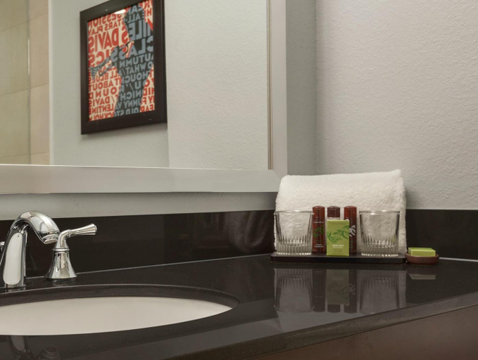 Bathroom 4, Embassy Suites Hotel Baton Rouge, East Baton Rouge