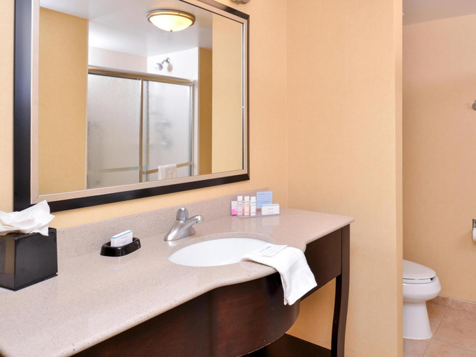 Bathroom 4, Hampton Inn & Suites Mt. Vernon Belvoir Alexandria, Fairfax