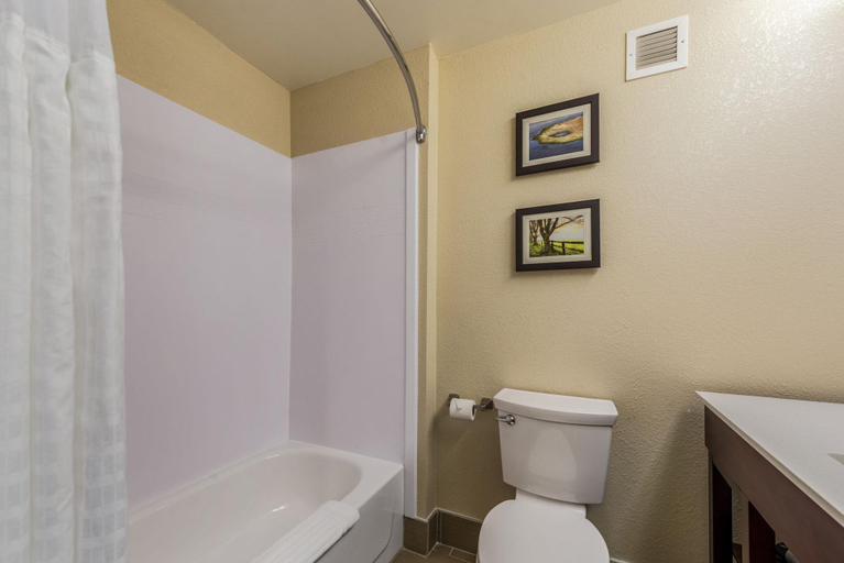 Bathroom 4, Comfort Inn & Suites Dayton North, Montgomery