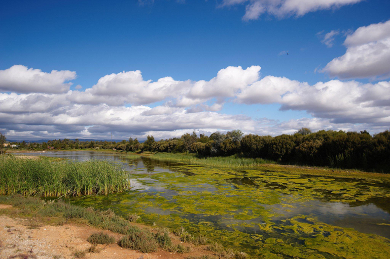 Others 5, Quest Mawson Lakes, Adelaide