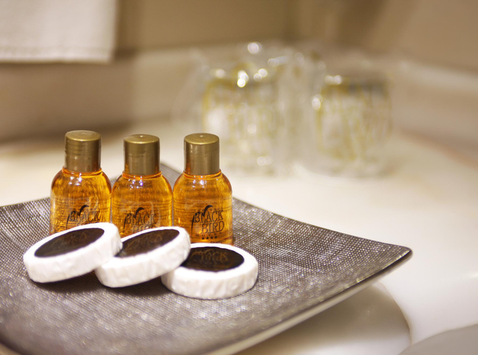 Bathroom, Black Bird Hotel, Fatih