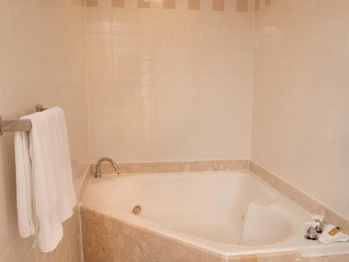 Bathroom 5, Hilton Cincinnati Netherland Plaza, Hamilton
