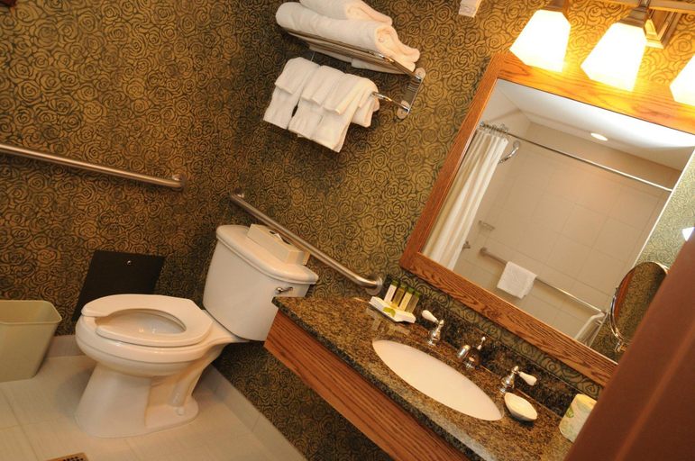 Bathroom 5, DoubleTree by Hilton Libertyville - Mundelein, Lake