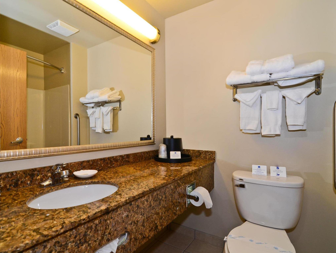 Bathroom 3, Spark by Hilton Oak Forest I-57, Cook