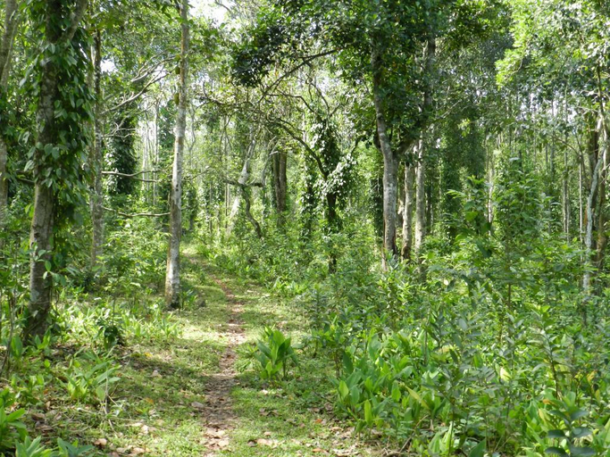 Others 5, Elephant Valley Eco Farm Lodge, Dindigul
