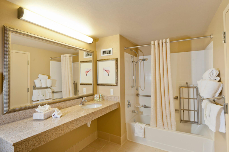 Bathroom 3, Holiday Inn Hotel And Suites Barstow By IHG, San Bernardino