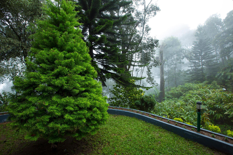 Others 5, Bracknell Forest Munnar, Idukki