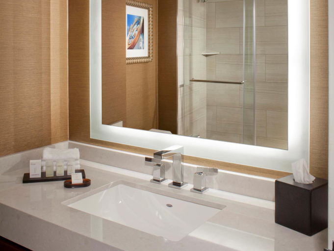 Bathroom 4, Embassy Suites by Hilton Austin Arboretum, Travis