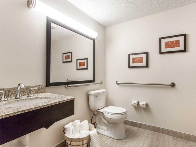 Bathroom 4, Comfort Inn Independence - Cleveland, Cuyahoga