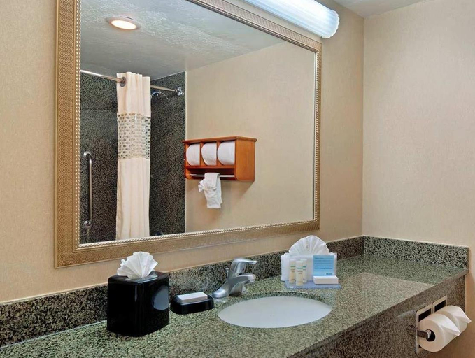 Bathroom 4, Hampton Inn Lake Havasu City, Mohave
