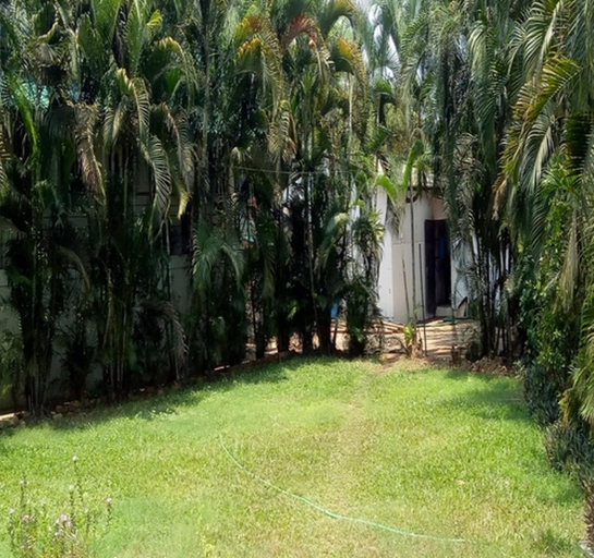 Others 4, Graciano Cottages, South Goa