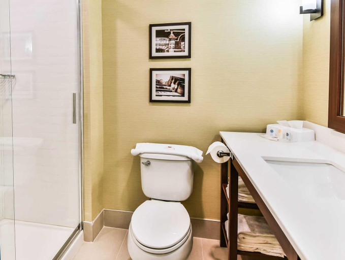 Bathroom 4, Comfort Suites Knoxville Airport, Blount