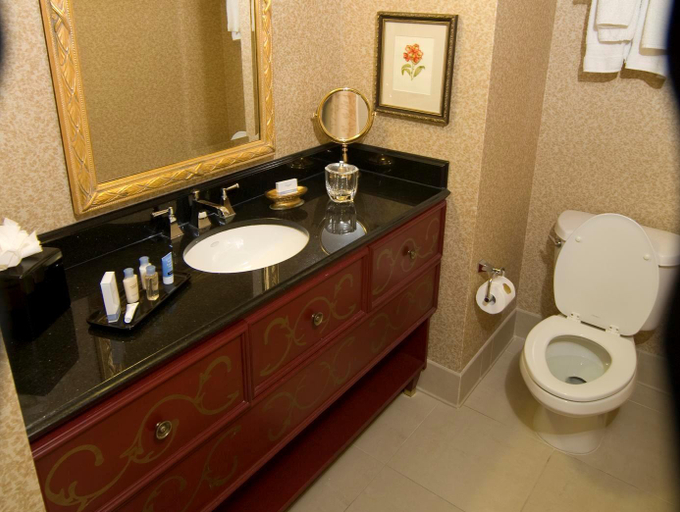 Bathroom 5, Roanoke & Conference Center A Curio by Hilton, Roanoke City