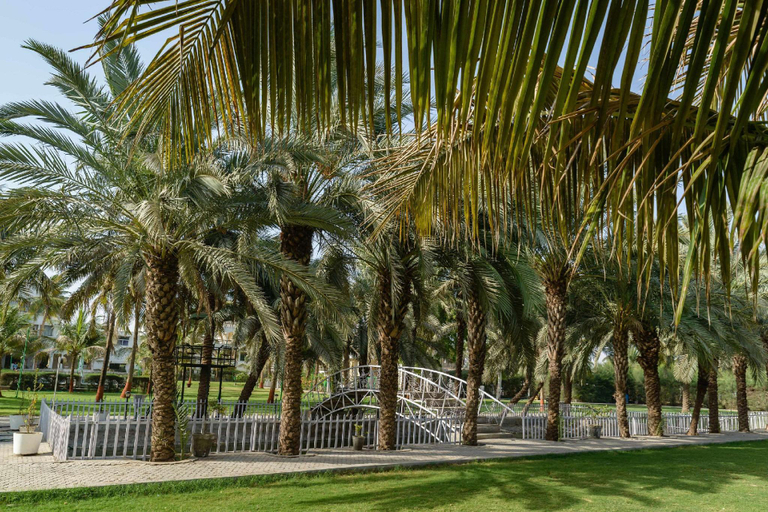 Others 5, Quality Inn Palms, Kachchh
