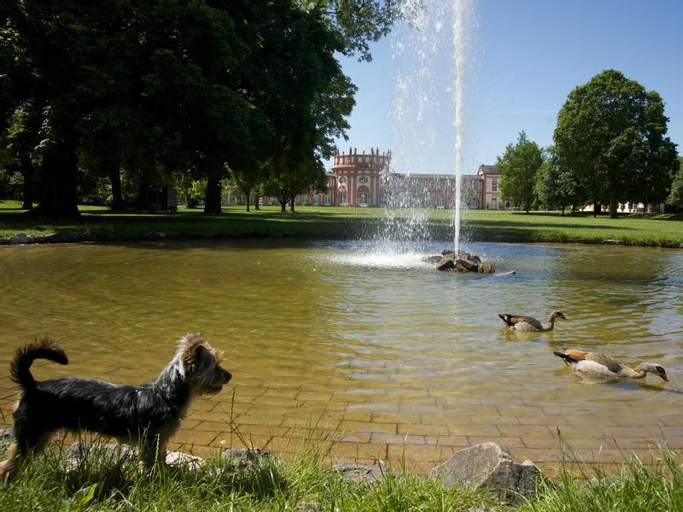 Exterior & Views 4, Am Schlosspark, Wiesbaden