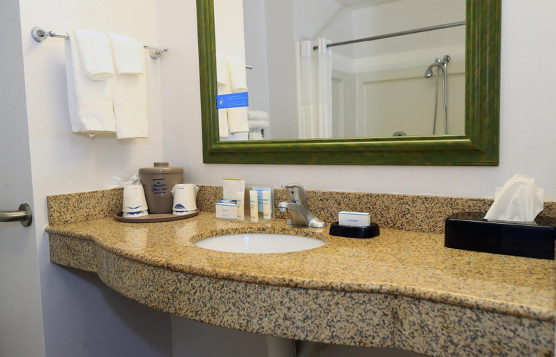 Bathroom 4, Hampton Inn & Suites Lamar, Clinton