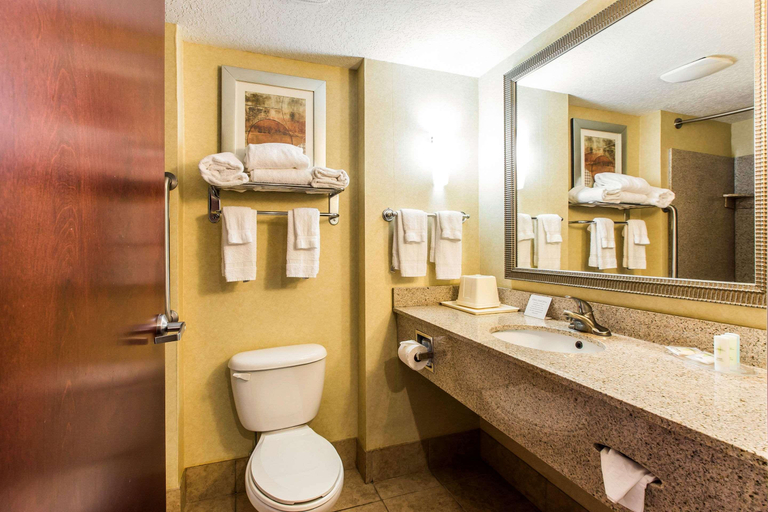 Bathroom 4, Comfort Suites Forsyth near I-75, Monroe