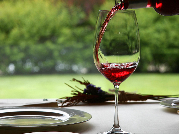 Food & Drinks 5, Churrut Hotel , Navarra