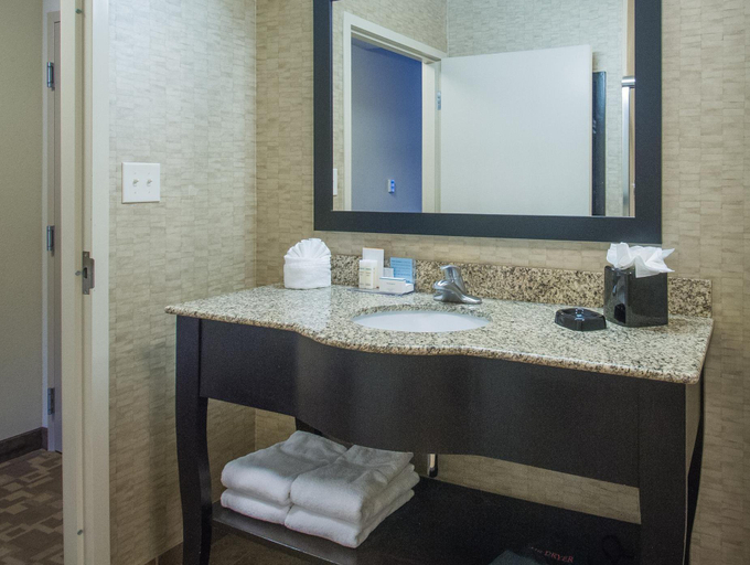 Bathroom 4, Hampton Inn Greenville, Pitt