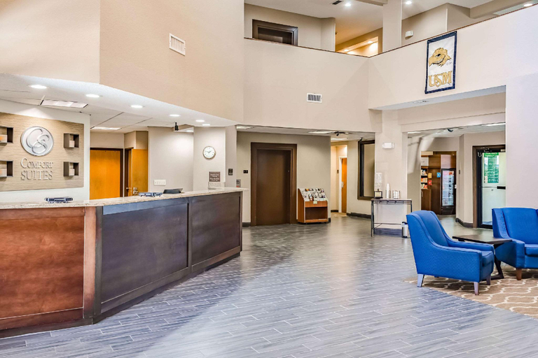 Public Area 2, Comfort Suites Hattiesburg near University, Lamar