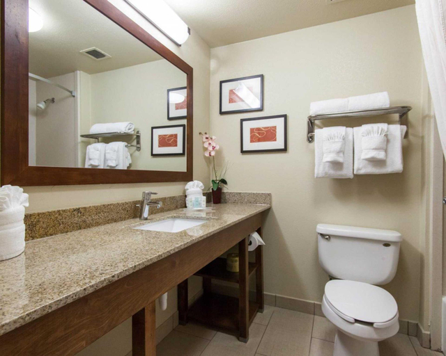 Bathroom 3, Comfort Suites Tulsa Central, Tulsa