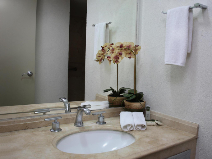 Bathroom 3, Hotel Poza Rica Centro, Coatzintla