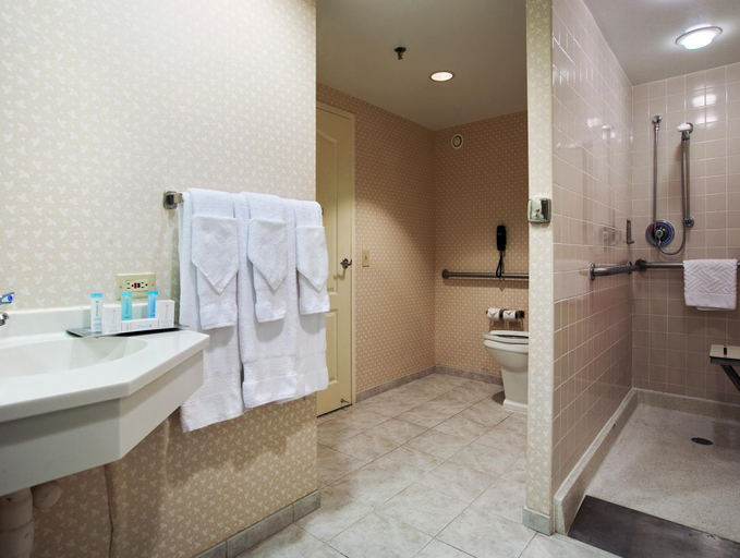 Bathroom 4, Hilton Chicago/Oak Brook Suites, Dupage