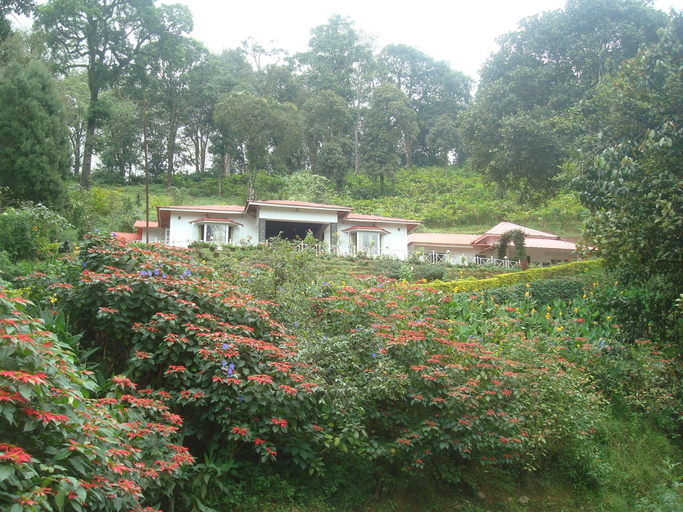 Others 3, Olive Brook Resort, Idukki