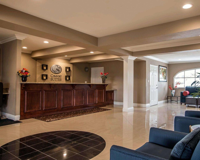 Public Area 2, Comfort Suites San Clemente Beach, Orange