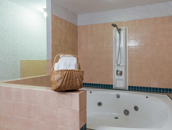 Bathroom, Rodeway Inn Red Wing, Goodhue