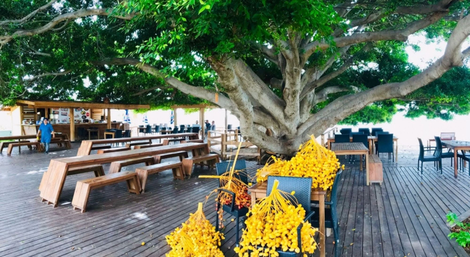 Food & Drinks 4, Marvel Tree Hotel, Bozyazı