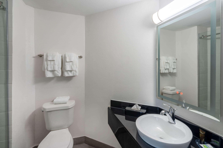 Bathroom 5, Wingate By Wyndham Horn Lake Southaven, Desoto