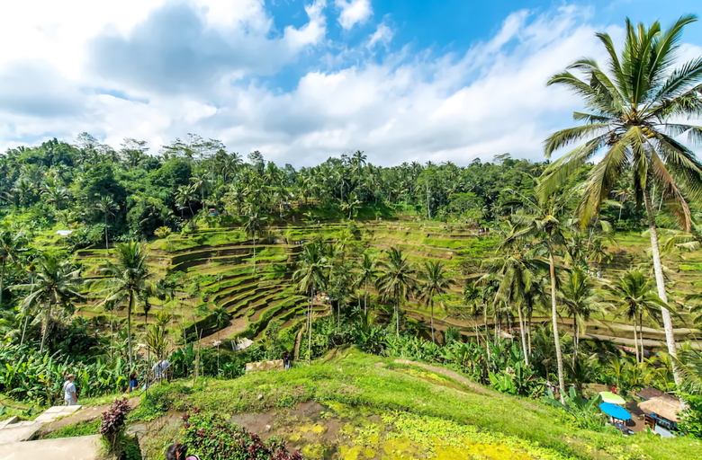 Others, The Kanjeng Resort Ubud, Gianyar