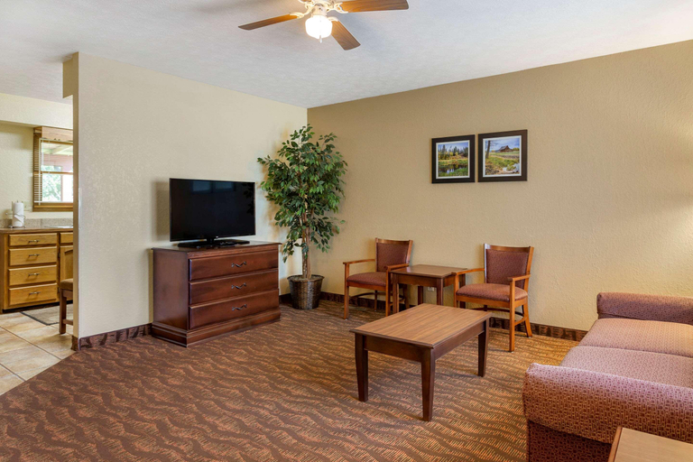 Public Area 2, Comfort Inn & Suites Branson Meadows, Taney