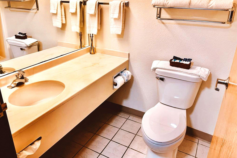 Bathroom 4, Sky-Palace Inn & Suites Northfield, Rice