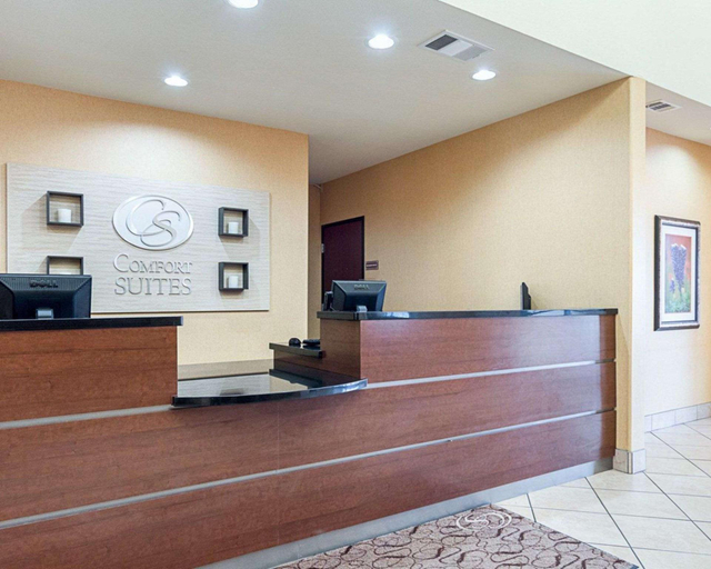 Public Area 2, Comfort Suites Ennis, Ellis